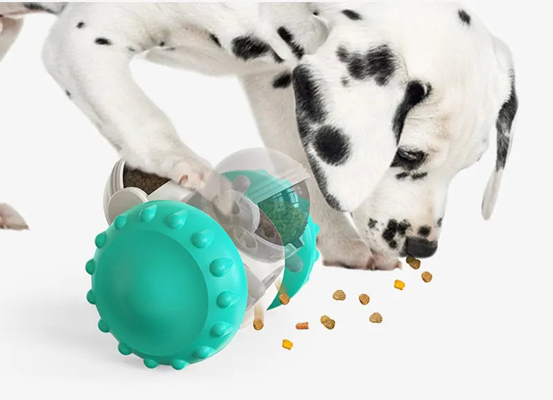 Interactive Pet Toy – Treat Ball Slow Feeder for Dogs & Cats