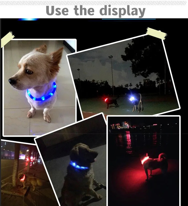 LED Luminous Dog Collar – USB Rechargeable, Waterproof PVC Safety Light for Night Walks