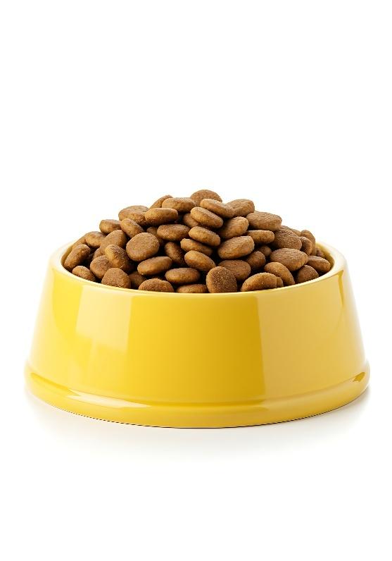 Dog Food