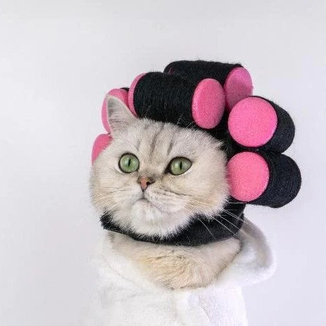 Cat- Grooming & Hygiene