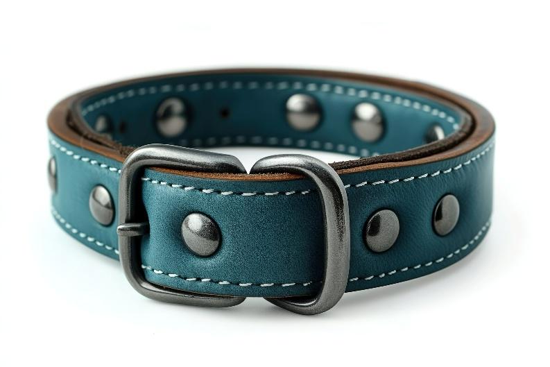 Collars, Harnesses & Leashes