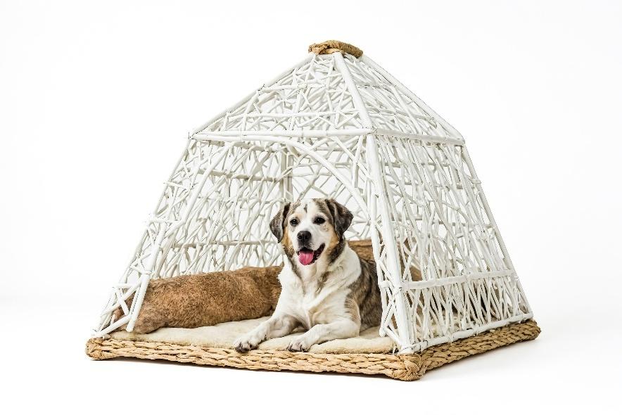 Beds & Crate Pads