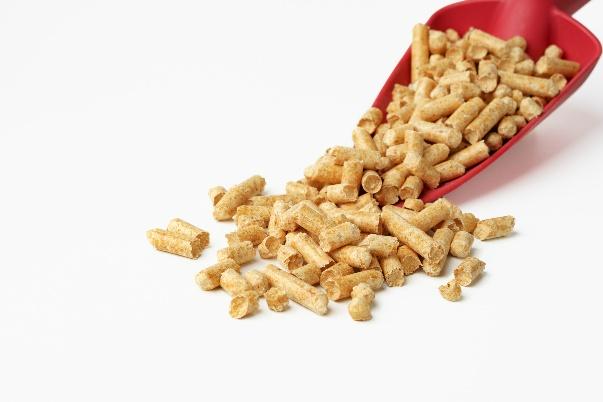 Horse-Stable Supplies & Bedding