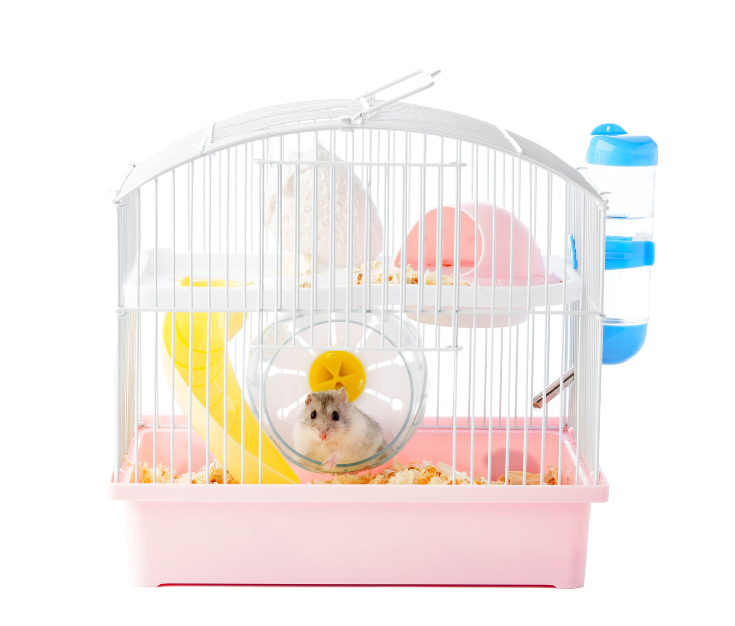 Small pet cages and hutches for rabbits, guinea pigs, hamsters, and ferrets – durable rabbit hutches, indoor small animal cages, outdoor pet enclosures, spacious 4guinea pig habitats, secure hamster cages, FurFilled Joy pet supplies