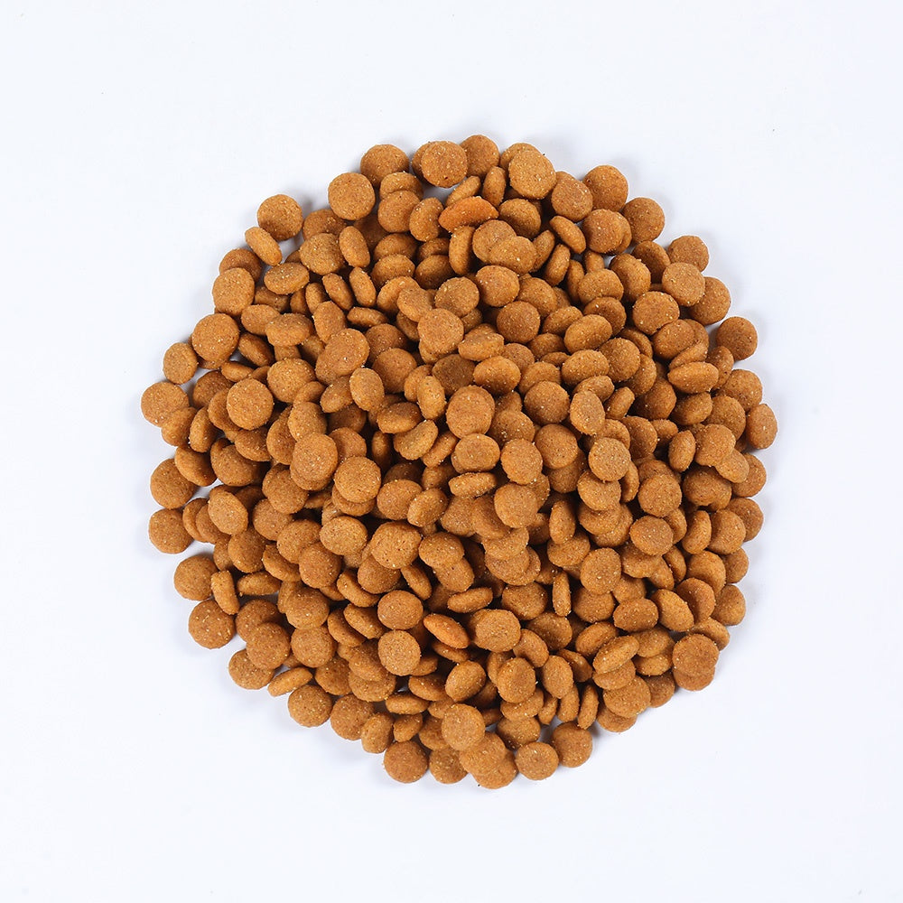 Cat Dry Food and Kibble
