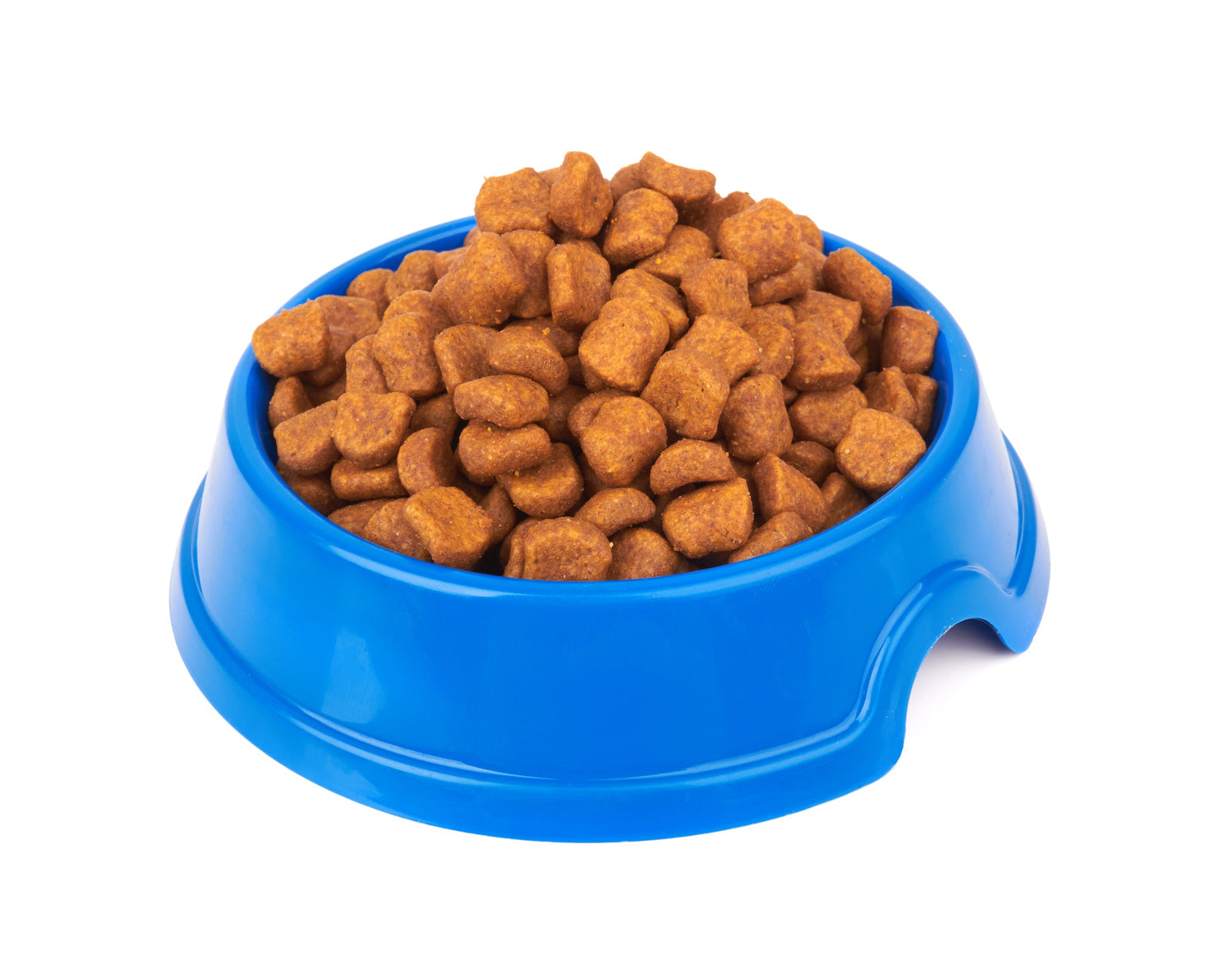 Dog Dry Food