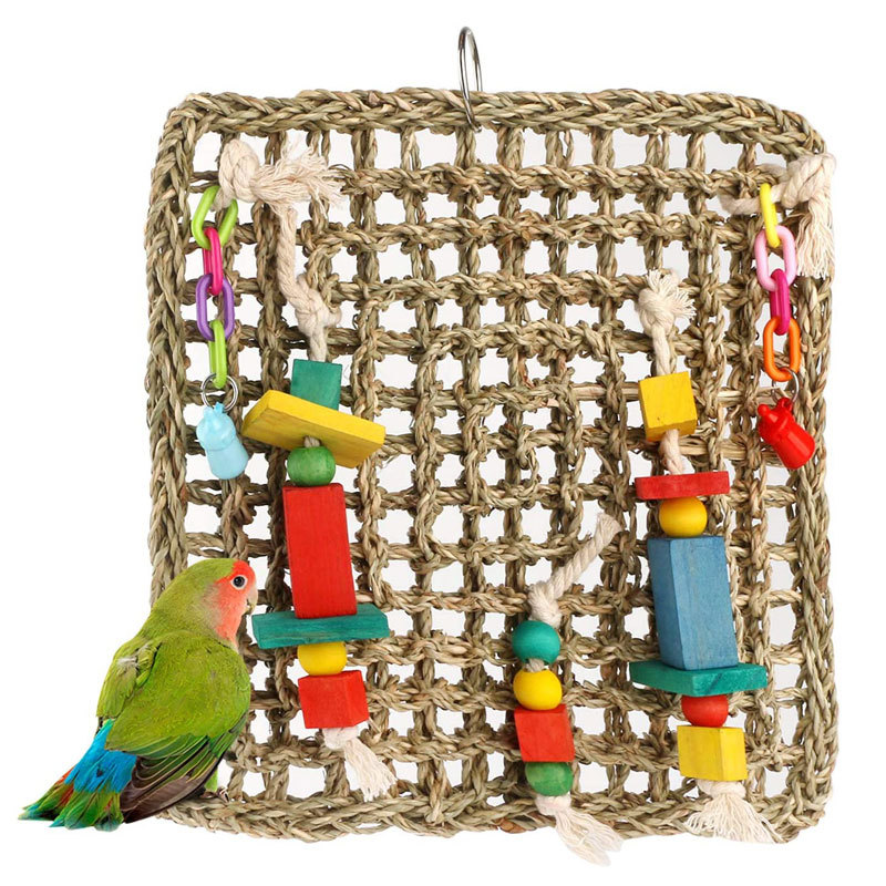 Foraging and Puzzle Toys for Birds