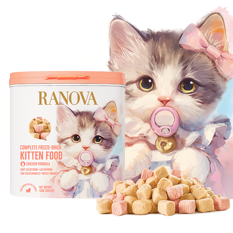 Kitten Food and Nutrition