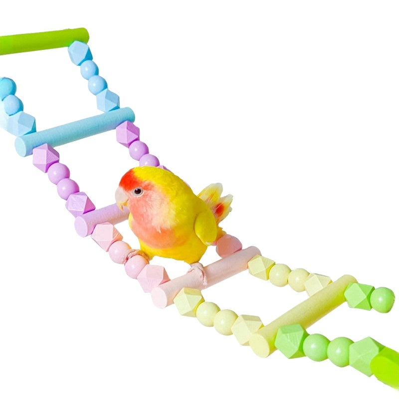 Bird Ladders and Climbing Toys