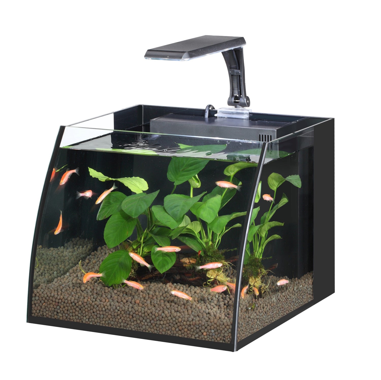 Nano Tanks