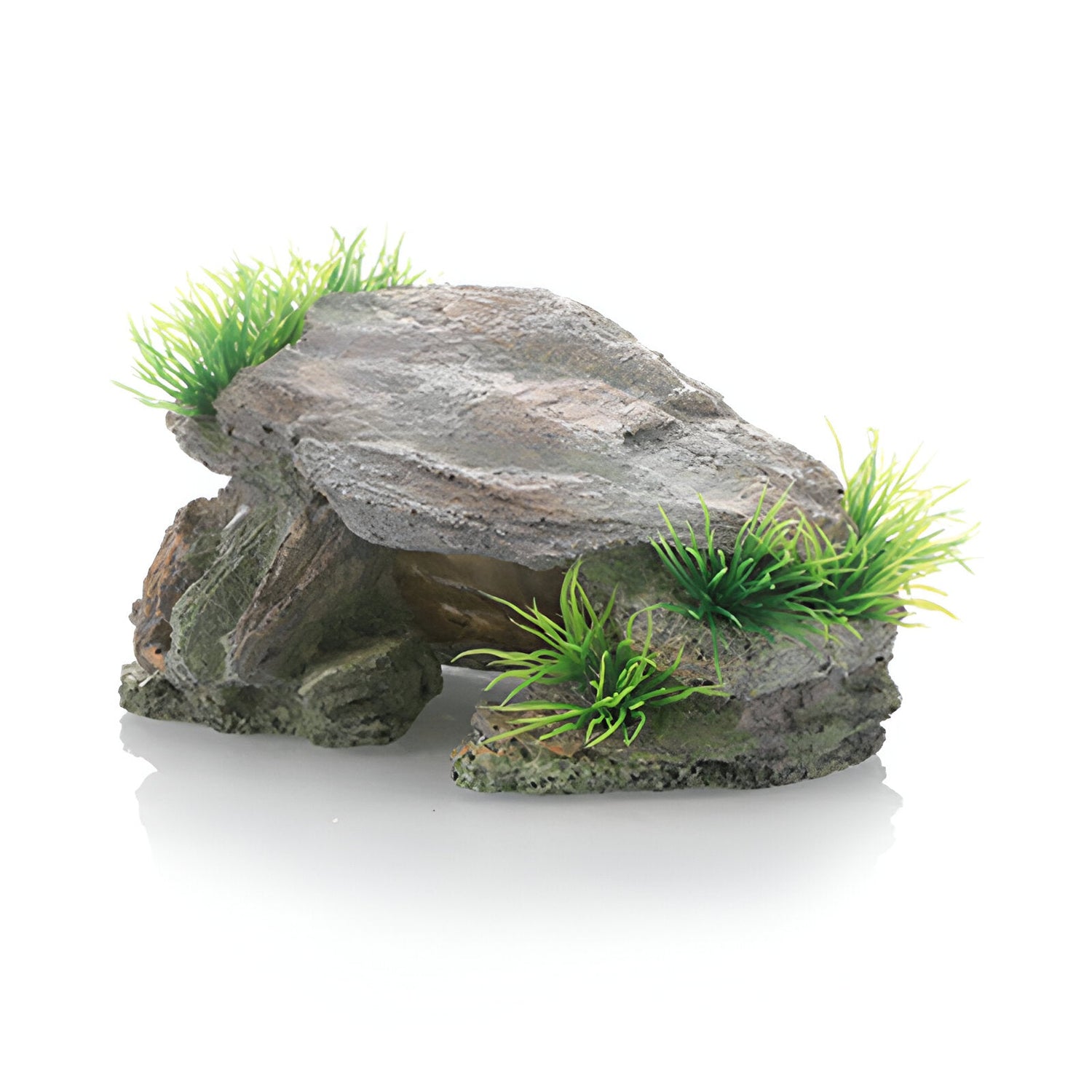 Reptile hides, caves, and shelters placed inside a terrarium, providing secure and natural hiding spaces for reptiles.