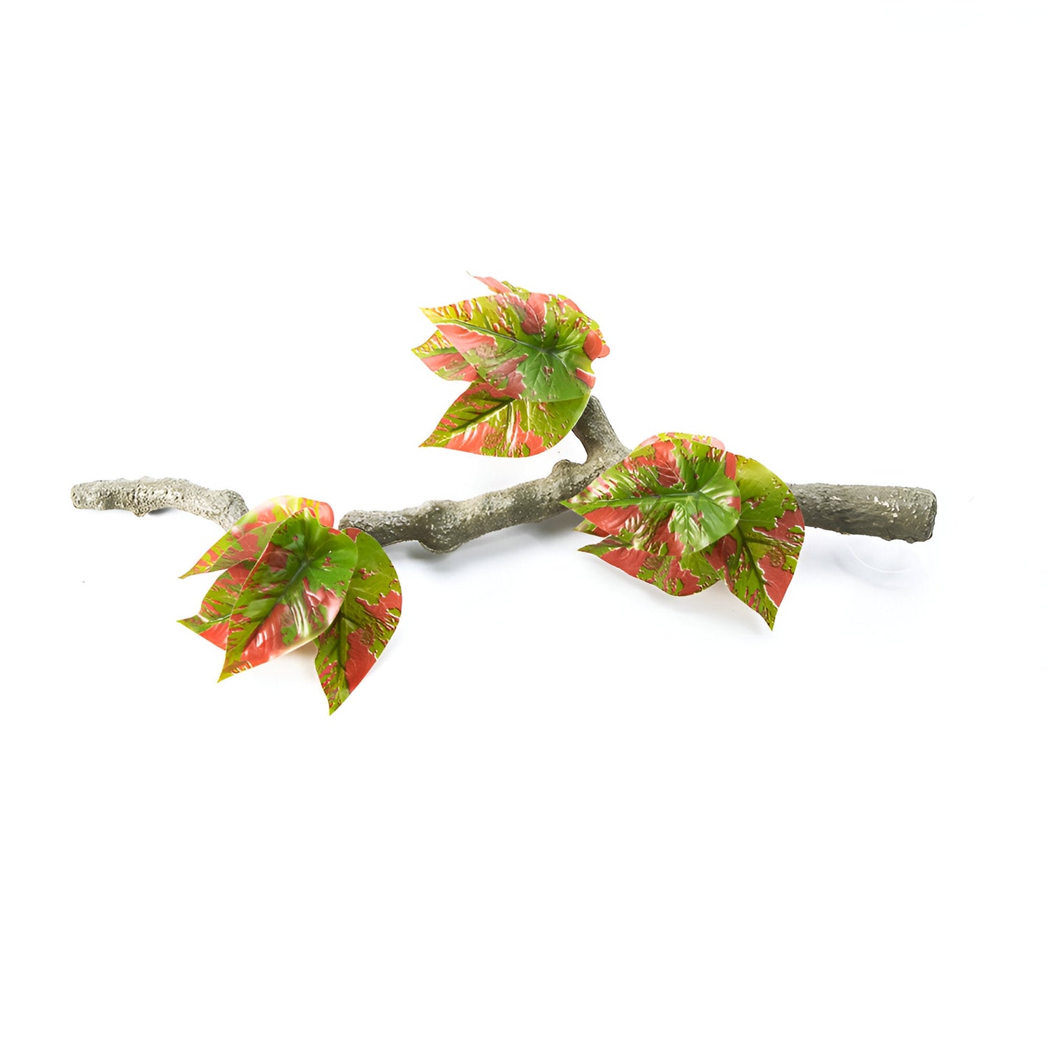 Terrarium plants and climbing décor including vines, branches, and greenery arranged inside a reptile enclosure.