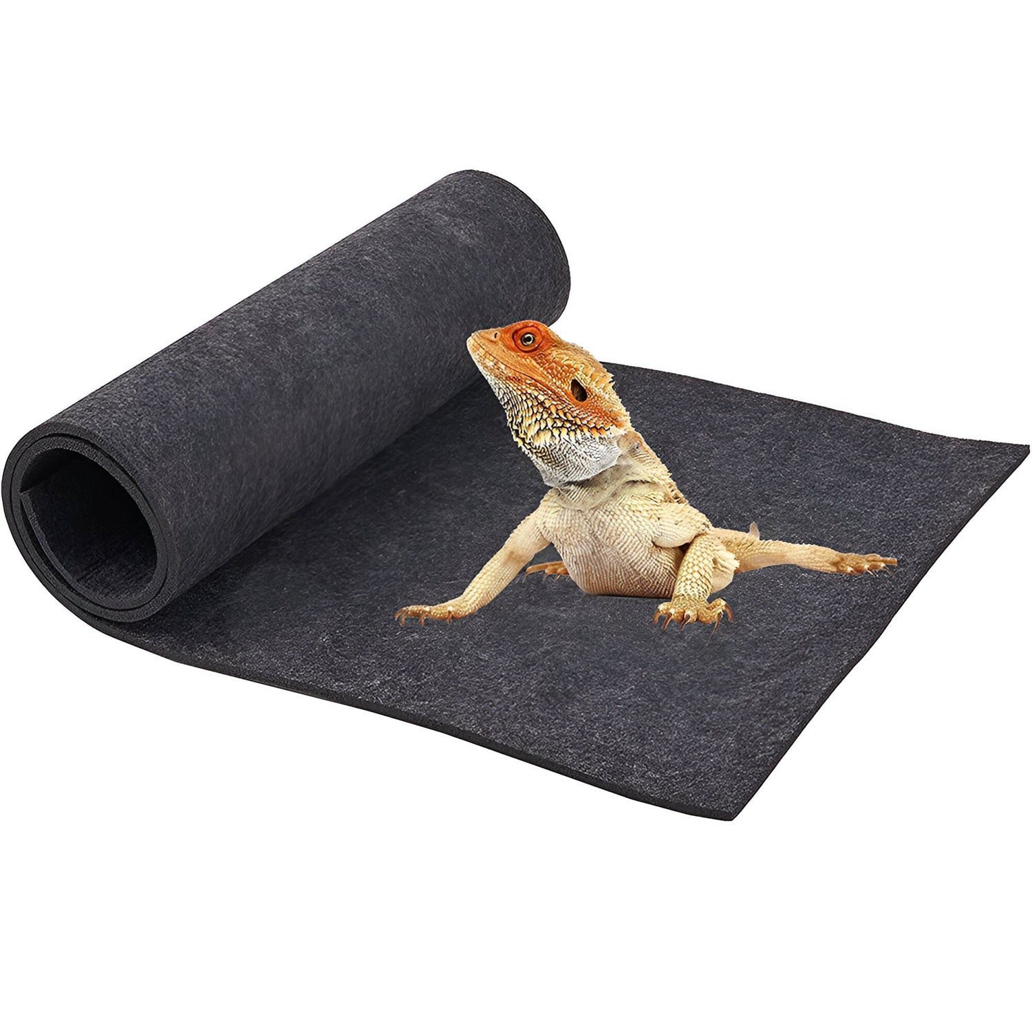 Reptile substrates and bedding including coconut fiber, bark, and sand arranged in a terrarium for desert and tropical reptiles.