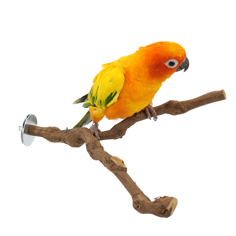 Wooden, Rope and Swing Perches for Birds