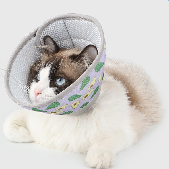 Recovery Collars for Cats