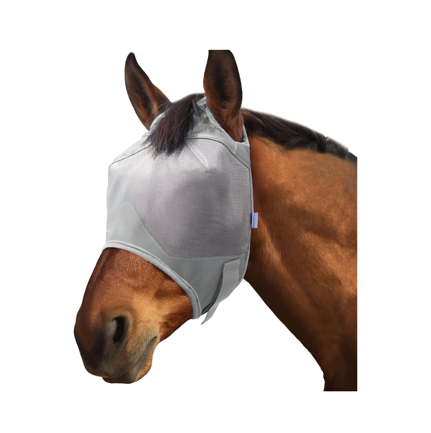 Fly masks, sprays, and repellents for horses designed to protect against insects and irritation