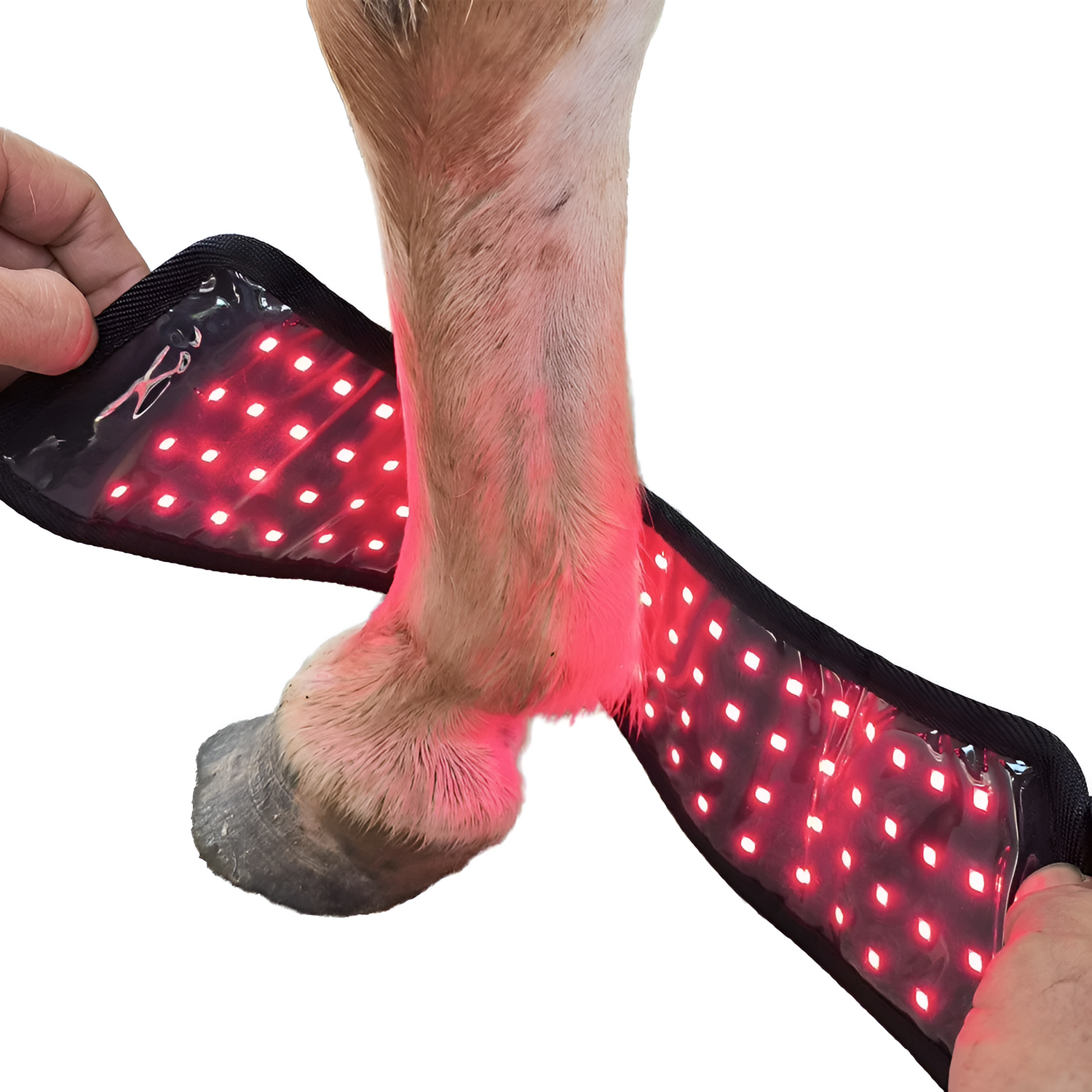 Horse wound and first aid care products designed to support healing and protection