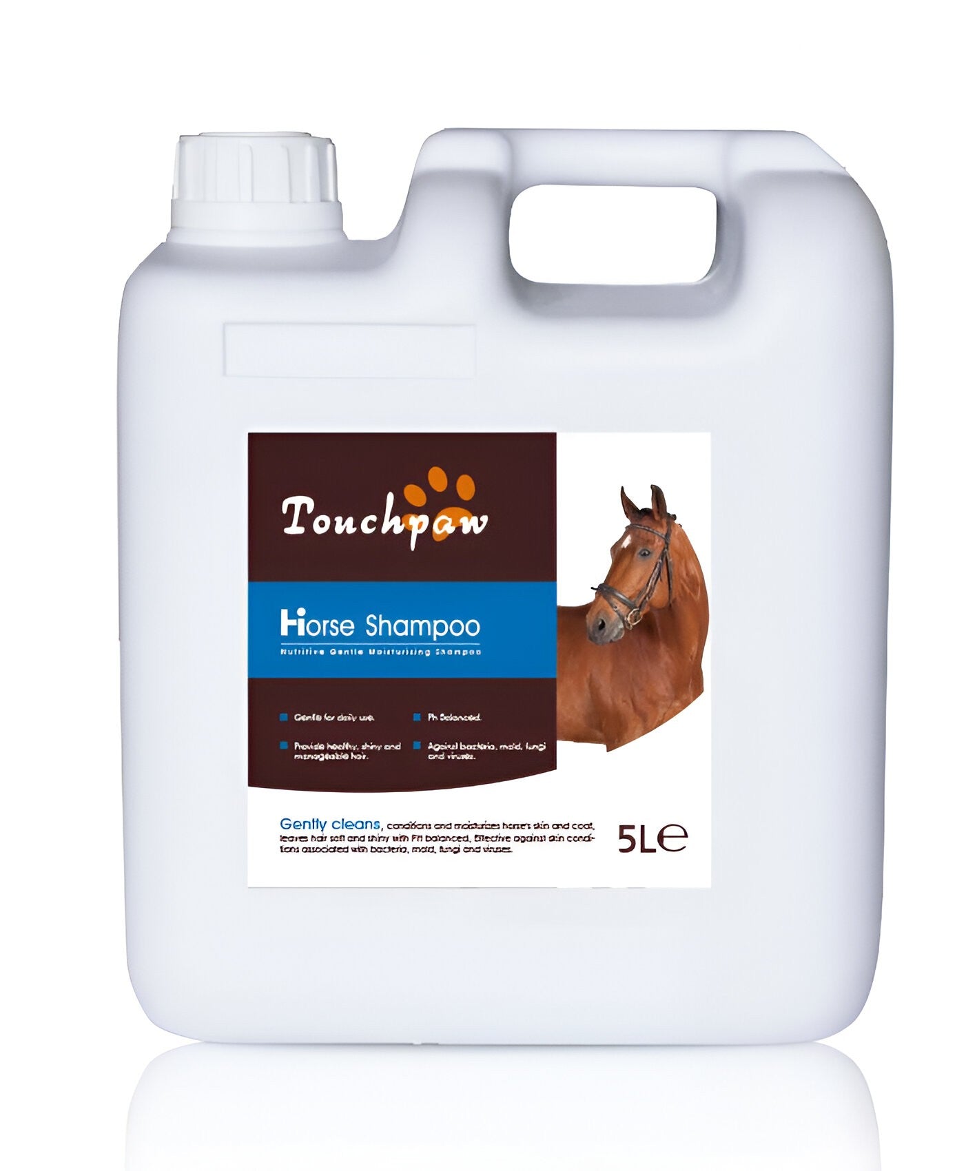Horse shampoos and coat care products designed for gentle cleansing and coat health