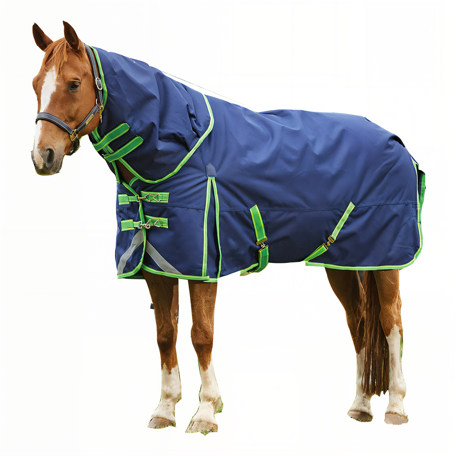 Quality stable tools and accessories supporting a clean, safe, and organized environment