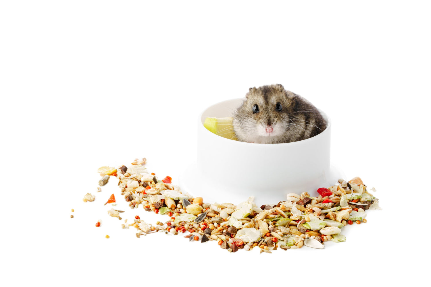 Pellets and complete diets for rabbits, guinea pigs, hamsters, chinchillas, and small pets – nutritious small animal food, fiber-rich pellets, balanced daily diets, healthy pet nutrition, FurFilled Joy pet supplies