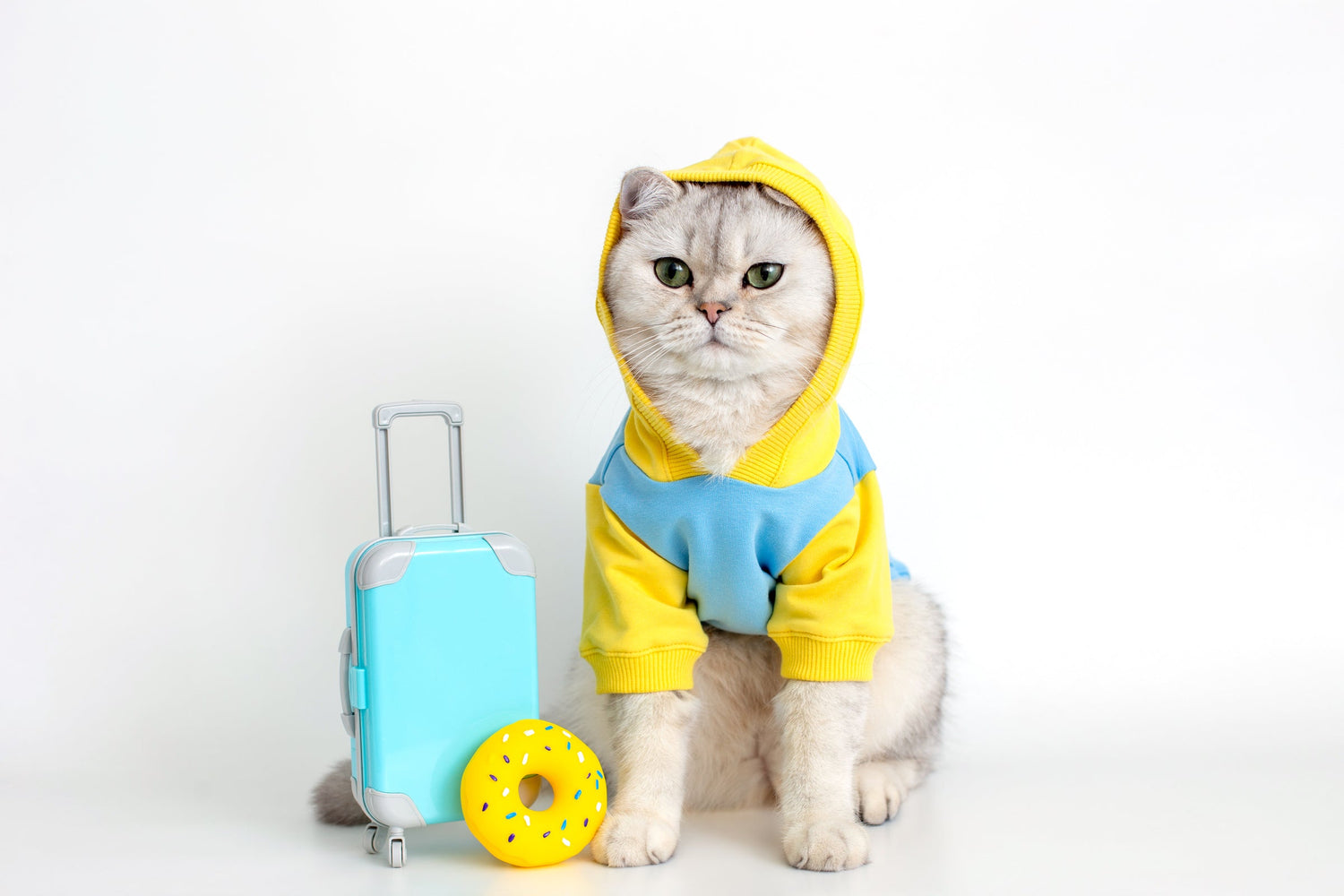 Travel Kits and Tools for Cats