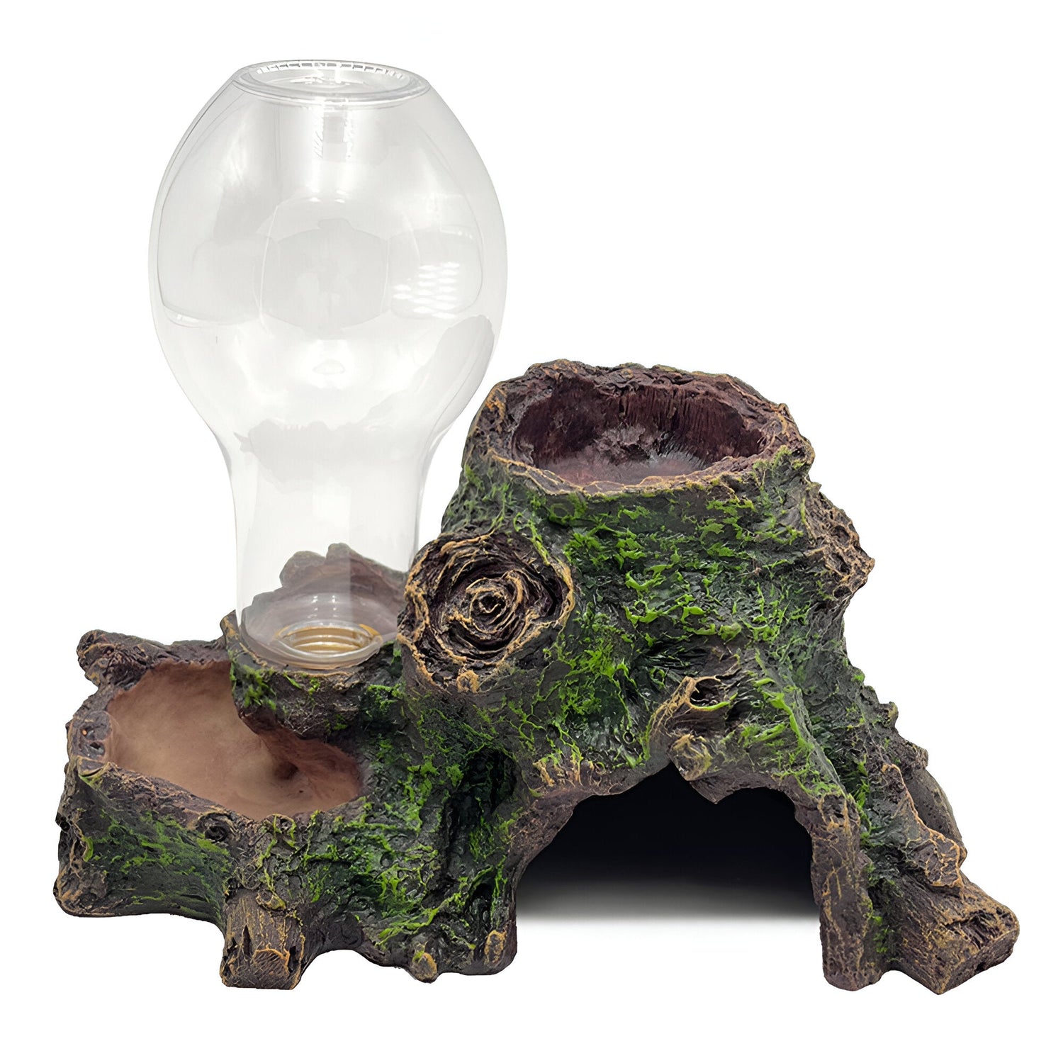 Reptile water bowl and dripper system placed inside a terrarium, providing fresh drinking water for reptiles.