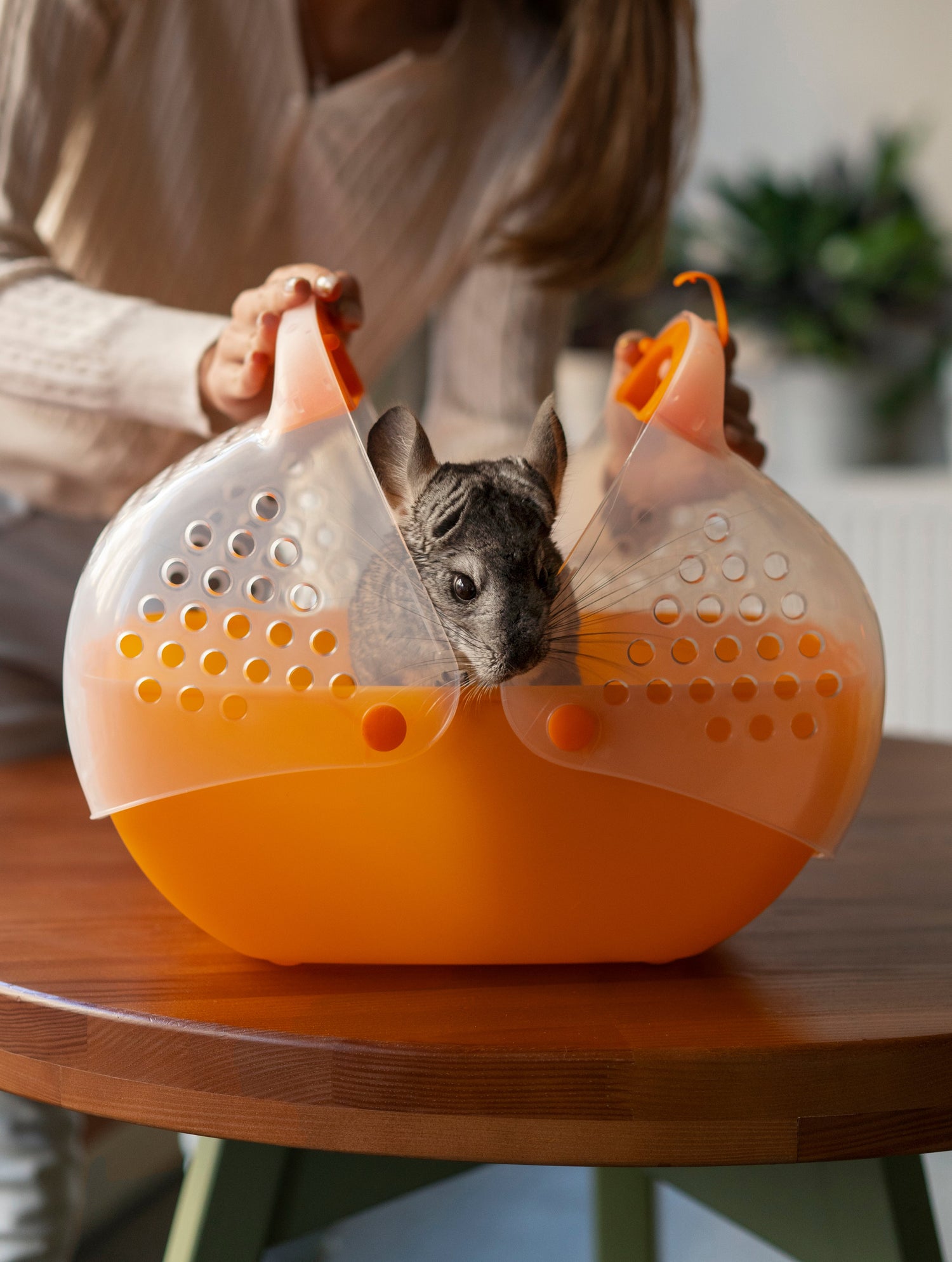 Small Pet Travel & Accessories