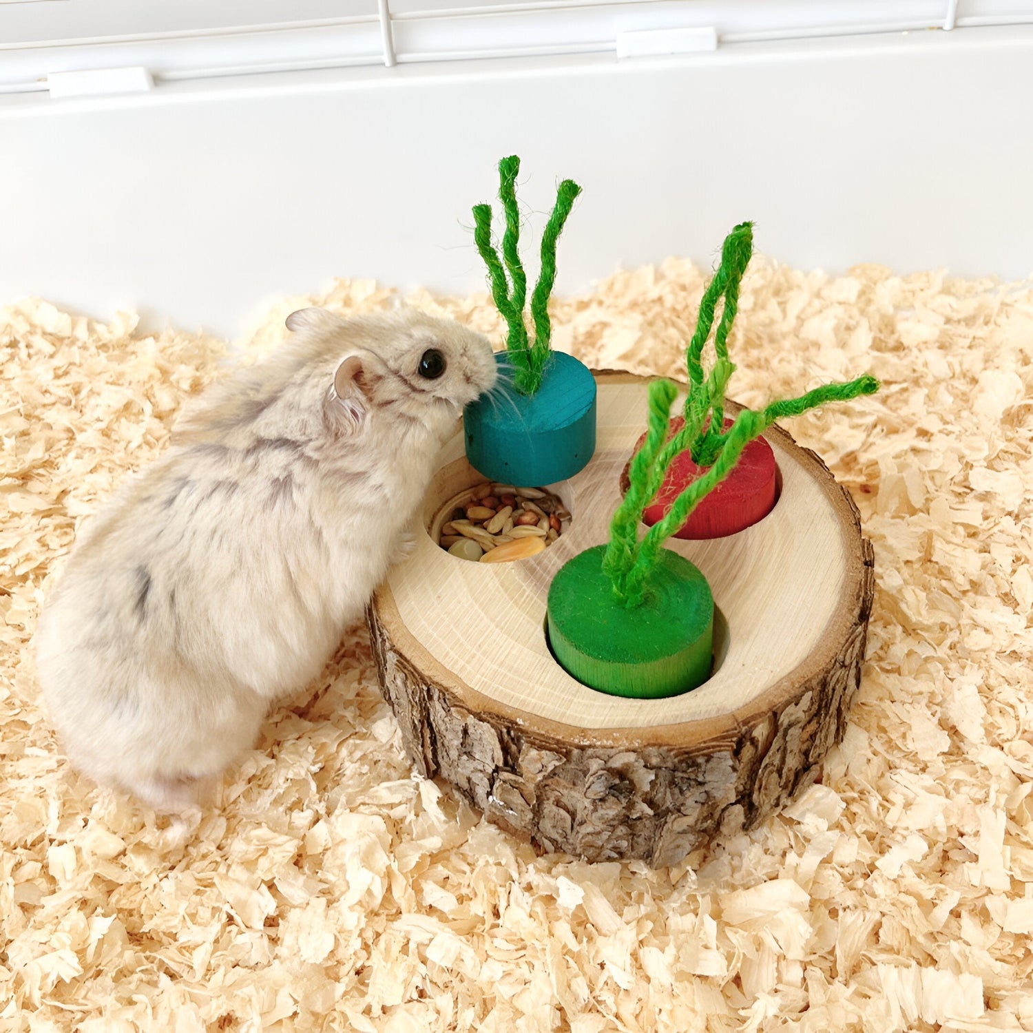 Mental enrichment toys for rabbits, guinea pigs, hamsters, ferrets, and small pets – puzzle toys, foraging accessories, interactive enrichment toys, boredom-reducing small animal toys, FurFilled Joy pet supplies