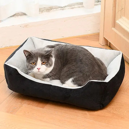 XS Hot Sale 50*38*15cm Dog Bed Sofa New Bone Style Fancy Sleeping Cushion for Small Puppies and Cats Breathable Fashionable