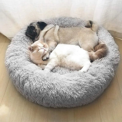 2021 Hot Sale Anti-Slip Donut Shaped Pet Cat Beds Warm Soft Indoor Accessory Faux Fur Material Solid Pattern Travel Feature