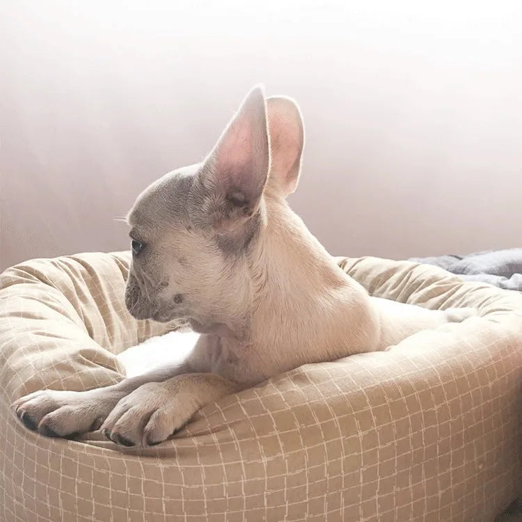 Hot Seller Four Seasons Gingham Breathable Cotton Pet Cat Summer Winter Donut Dog Bed With Pillow