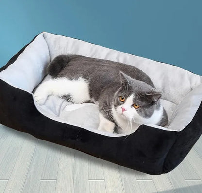 XS Hot Sale 50*38*15cm Dog Bed Sofa New Bone Style Fancy Sleeping Cushion for Small Puppies and Cats Breathable Fashionable