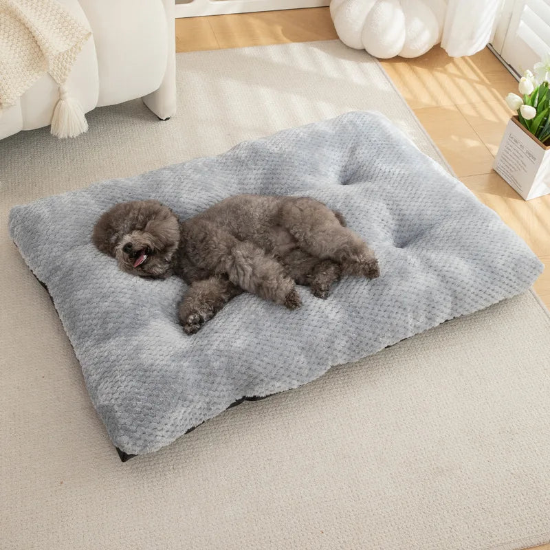 Luxury Anti-Skid Moisture-Proof Pet Cat Dog Bed Winter Warm Thickened PP Cotton Pineapple Fleece Mat Cushion Small Medium Solid