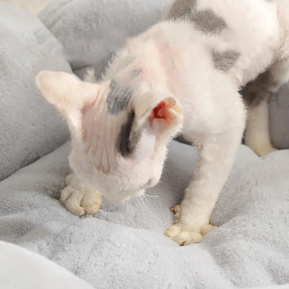 2025 Hot Sale Luxuryhouse Exclusive Donut Cat Dog Pet Bed Soft Fleece Winter Warm Cushion Solid Dropshipping Cloud Nest