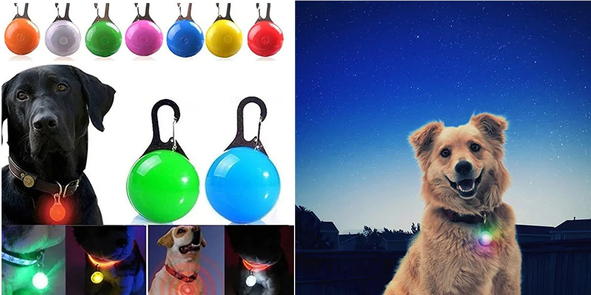 LED Luminous Dog Collar – USB Rechargeable, Waterproof PVC Safety Light for Night Walks