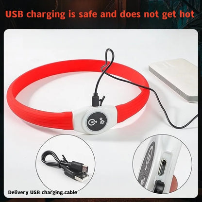 LED Luminous Dog Collar – USB Rechargeable, Waterproof PVC Safety Light for Night Walks