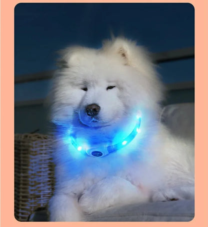 LED Luminous Dog Collar – USB Rechargeable, Waterproof PVC Safety Light for Night Walks