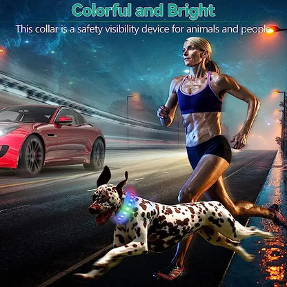 LED Luminous Dog Collar – USB Rechargeable, Waterproof PVC Safety Light for Night Walks