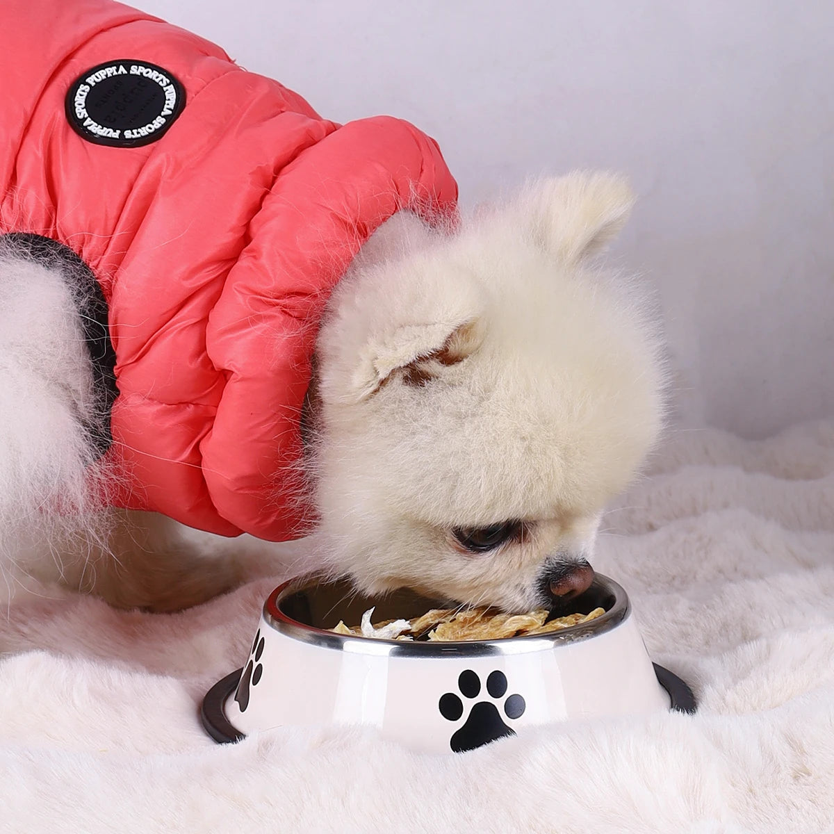 Premium Stainless Steel Dog Bowl – Non-Slip & Dishwasher Safe