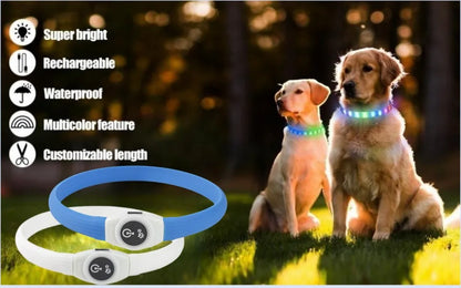 LED Luminous Dog Collar – USB Rechargeable, Waterproof PVC Safety Light for Night Walks