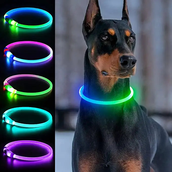 LED Luminous Dog Collar – USB Rechargeable, Waterproof PVC Safety Light for Night Walks