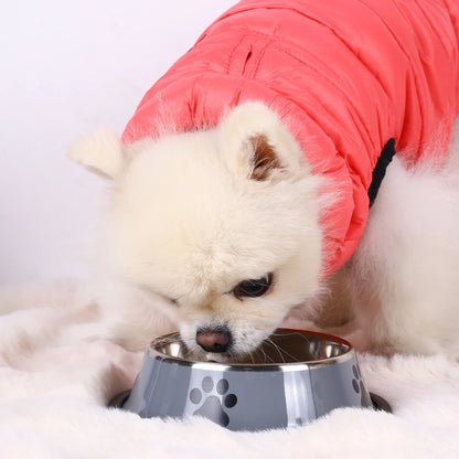 Premium Stainless Steel Dog Bowl – Non-Slip & Dishwasher Safe
