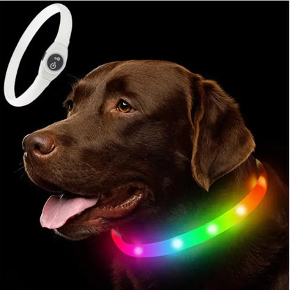 LED Luminous Dog Collar – USB Rechargeable, Waterproof PVC Safety Light for Night Walks