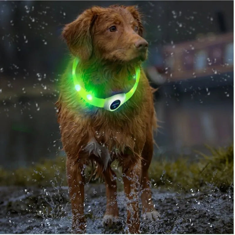 LED Luminous Dog Collar – USB Rechargeable, Waterproof PVC Safety Light for Night Walks