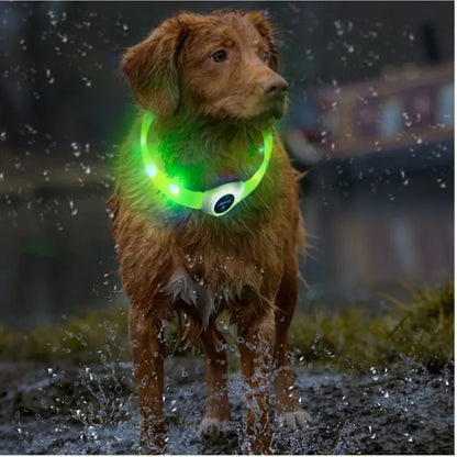 LED Luminous Dog Collar – USB Rechargeable, Waterproof PVC Safety Light for Night Walks