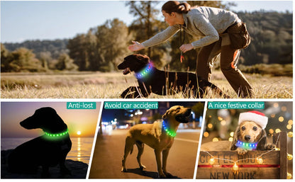 LED Luminous Dog Collar – USB Rechargeable, Waterproof PVC Safety Light for Night Walks