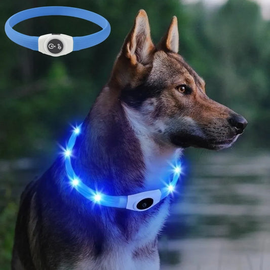 LED Luminous Dog Collar – USB Rechargeable, Waterproof PVC Safety Light for Night Walks