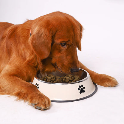 Premium Stainless Steel Dog Bowl – Non-Slip & Dishwasher Safe