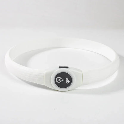 LED Luminous Dog Collar – USB Rechargeable, Waterproof PVC Safety Light for Night Walks
