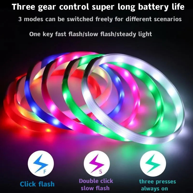 LED Luminous Dog Collar – USB Rechargeable, Waterproof PVC Safety Light for Night Walks